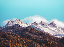 BetVictor伟德：开启你的线上博彩新纪元